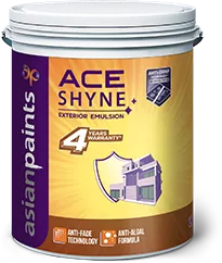 Asian Paints Ace Shyne