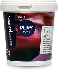 Asian Paints Royale Play Dune