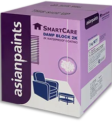Asian Paints SmartCare Damp Block 2K