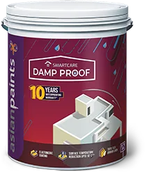 Asian Paints SmartCare Damp Proof