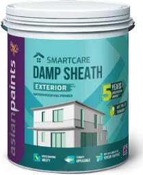 Asian Paints SmartCare Damp Sheath Exterior