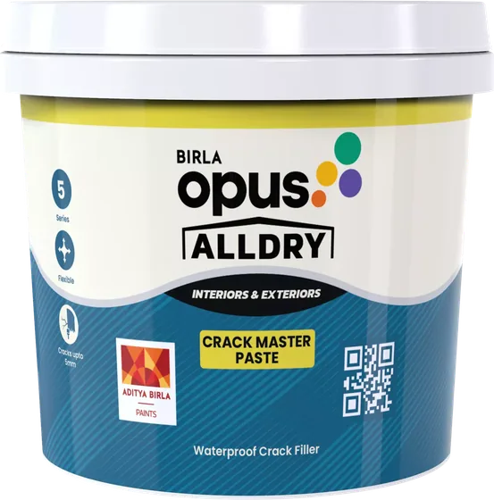 Birla Opus Alldry Crack Master Paste