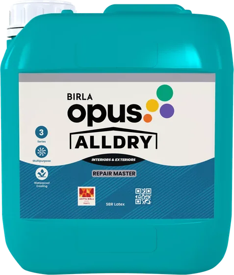 Birla Opus Alldry Repair Master
