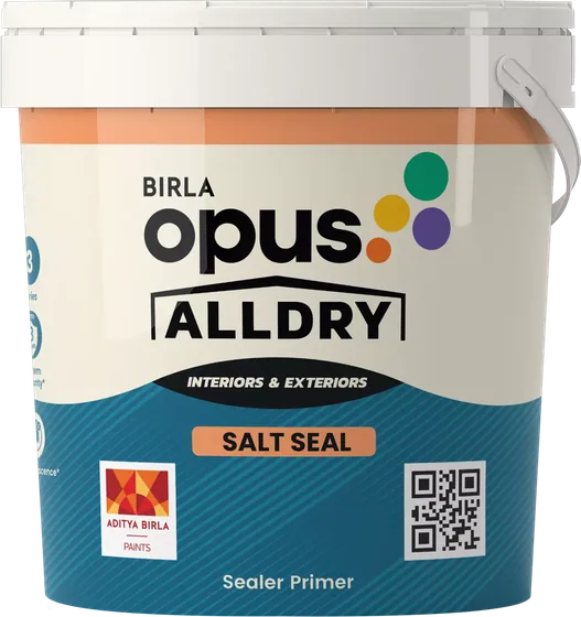 Birla Opus Alldry Salt Seal