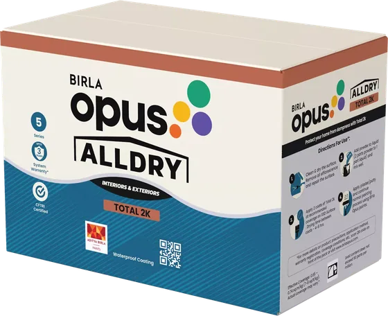 Birla Opus Alldry Total 2K