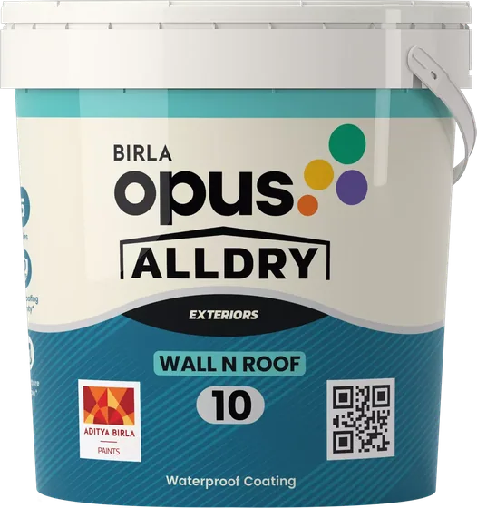 Birla Opus Alldry Wall n Roof 10