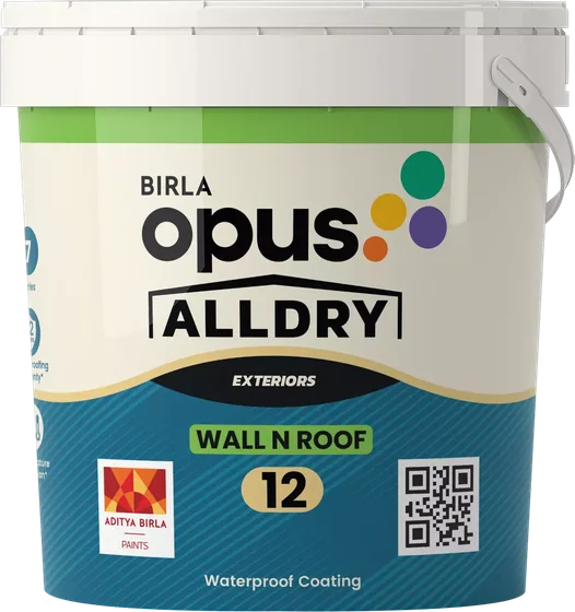 Birla Opus Alldry Wall n Roof 12