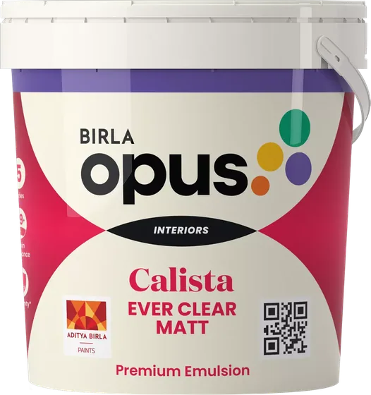 Birla Opus Calista Ever Clear Matt