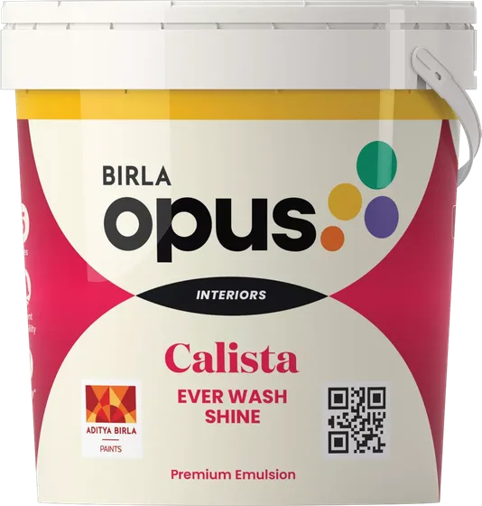 Birla Opus Calista Ever Wash Shine