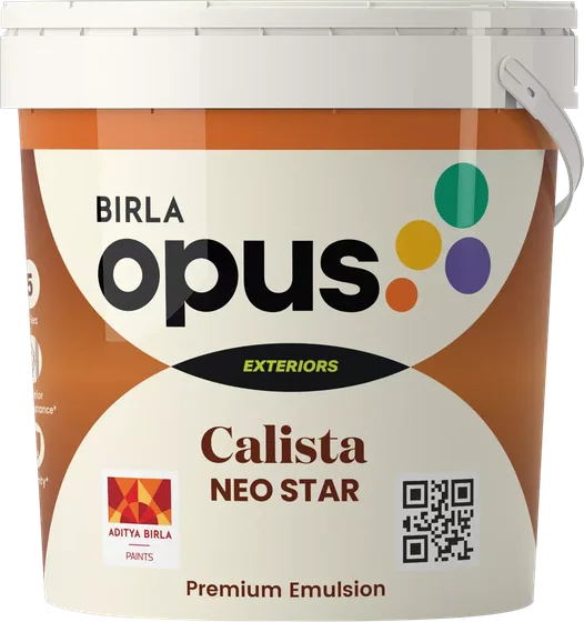 Birla Opus Calista Neo Star