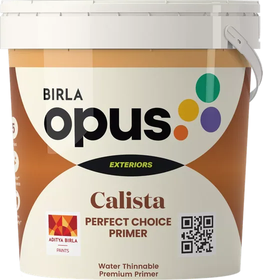 Birla Opus Calista Perfect Choice Primer