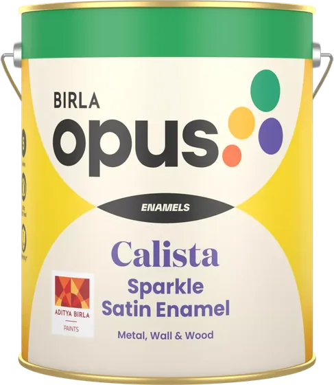 Birla Opus Calista Sparkle Satin