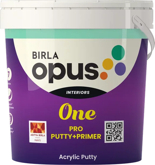 Birla Opus One Pro Putty+Primer