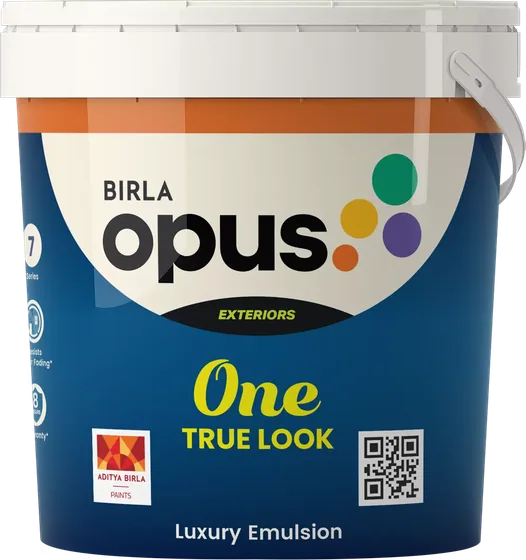 Birla Opus One True Look