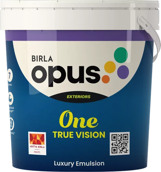 Birla Opus One True Vision