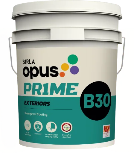 Birla Opus Birla Opus Prime B30 Waterproof Coating