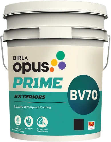 Birla Opus Birla Opus Prime BV70 Luxury Waterproof Coating