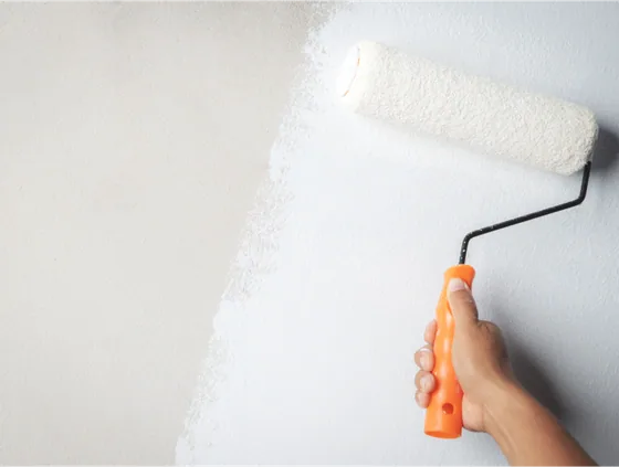Birla Opus Birla Opus Prime I6 Interior Water Thinnable Cement Primer