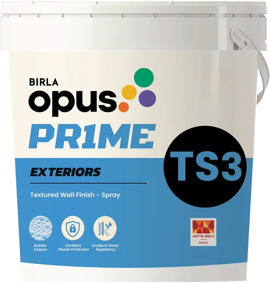 Birla Opus Birla Opus Prime TS3 Exterior Spray Wall Finish Texture