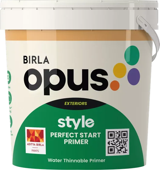 Birla Opus Style Perfect Start Primer