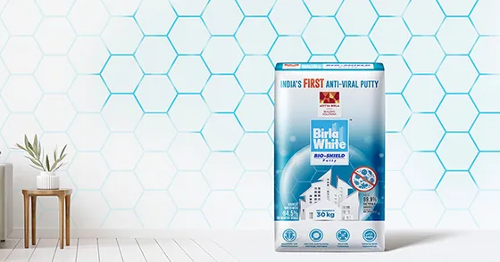 Birla White Birla White Bio-Shield Putty