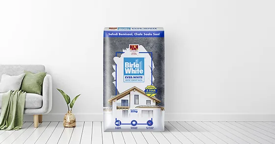 Birla White Birla White Ever White Cement Wash