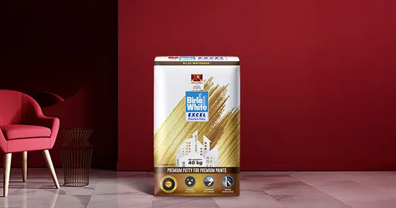 Birla White Birla White Excel Putty