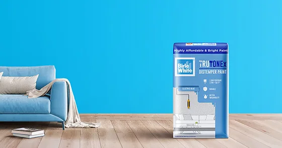 Birla White Birla White Trutonex Distemper