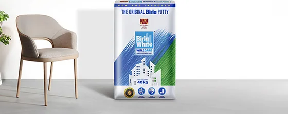 Birla White Birla White WallCare Putty