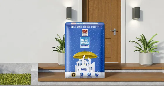 Birla White Birla White WallSeal Waterproof Putty